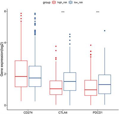 Novel hypoxia-related gene signature for predicting prognoses that correlate with the tumor immune microenvironment in NSCLC